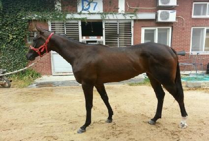 ������� ����