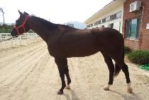 �����ڽ� (BLACK BOX) ����