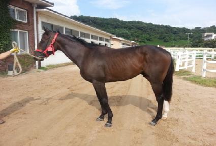 �����ڸ��� ����