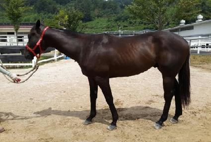 ��Ʈ��Ʋ�������� ����