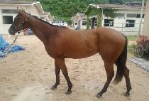 ��ȣ����ƾ (GANGHO MOUNTAIN) ����