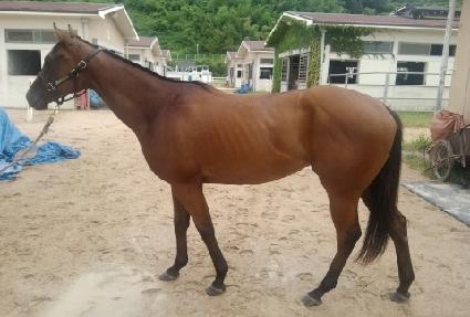 ��ȣ����ƾ ����