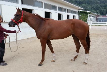 �������� ����