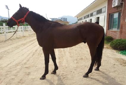 ���̽��ְ� ����