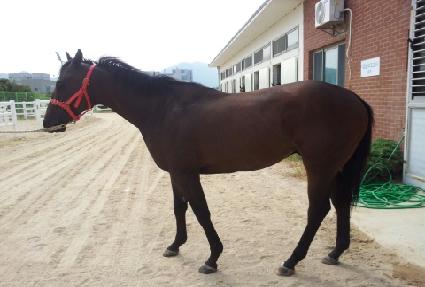 ���ϵ��ν�Ʈ ����