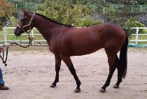 ��ũ����ô� (THINKSHESALLTHAT) ����