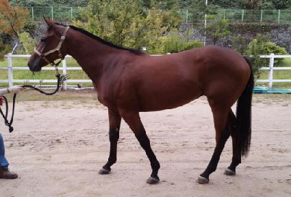 ��ũ����ô� ����