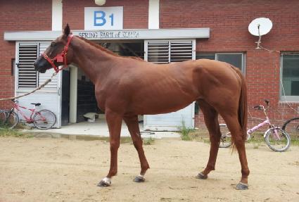 �����̽�Ʈ�� ����