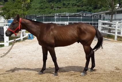 Ƽ��� ����