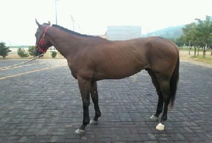 �����̵�ĸƾ ����