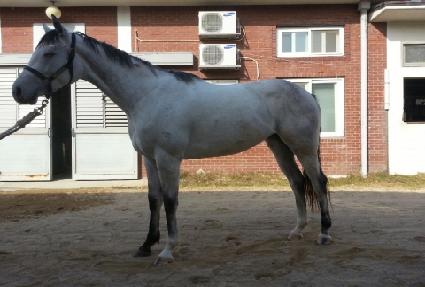 ����ĳ�ù̾� ����