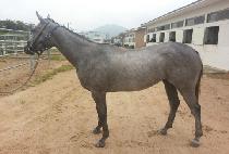 Ž���� (TAMNARA) ����