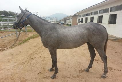 Ž���� ����