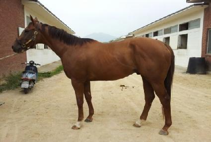 ��ȣ�� ����