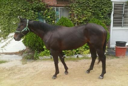 ����Ʈ����� ����