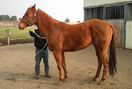 �̽��κ� ����