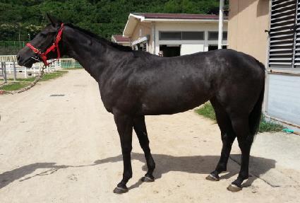 �ε����� ����