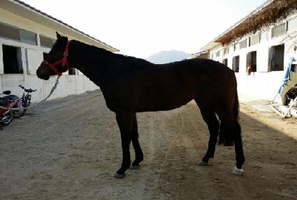 ���ǵ���̵� ����