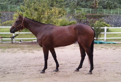 ���׿���Ǯ ����