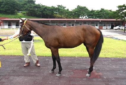 ����õ�� ����