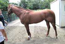 ���̳ν��ھ� (FINAL SCORE) ����