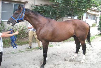 �伾��ó ����