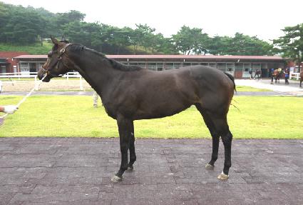 ��ǳ�뼼 ����