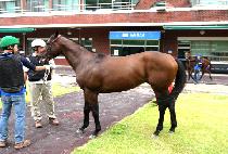 ���ձ� (YEONHAPGUN) ����