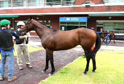 ���ձ� ����