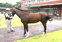 �������� (SEONGWON EUTTEUM) ����