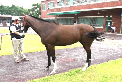 �������� ����