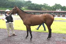 ���͵����̺�� (SATURDAY EVENING) ����