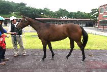 ���̾��� (MUMIA JUN) ����