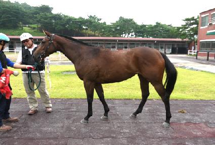 ���̾��� ����