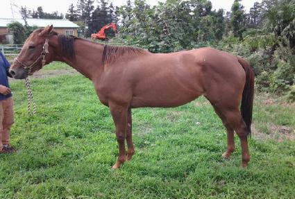 �ֵ�� ����