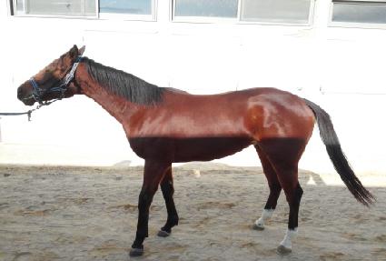 ��ũ�������� ����