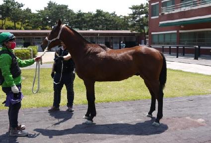 ���Ǳ�� ����