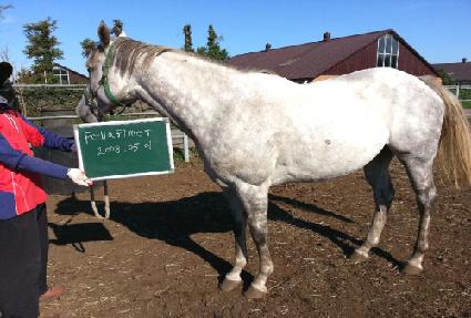 ����ǳ� ����