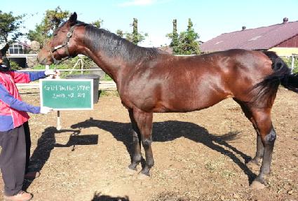 ���ν�Ÿ�� ����