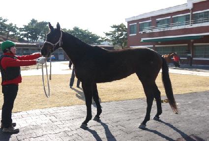 �ҽ����� ����