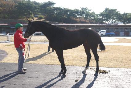 ��������Ʈ ����