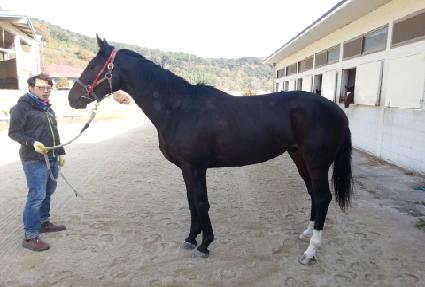 ���������۷��̵� ����