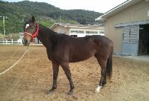 �¾纰 (TAEYANGBYEOL) ����