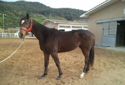 �¾纰 ����