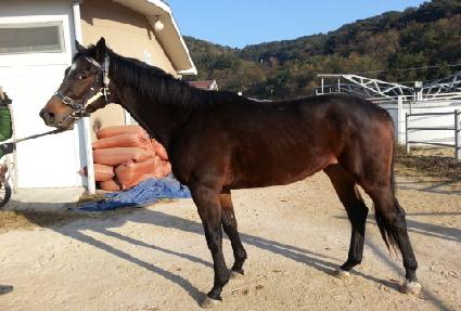 ����ϳ� ����