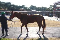 ������ (DANGSAN DAEHYEOP) ����