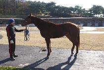 ��Ű��޽��� (WICKED MESSENGER) ����