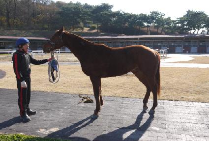 ��Ű��޽��� ����