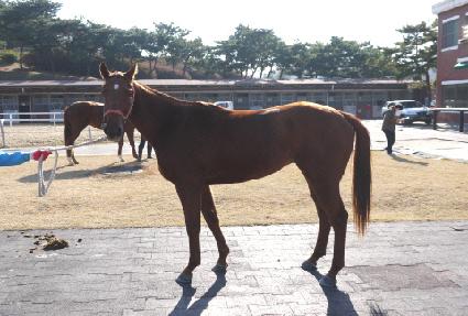 ������� ����