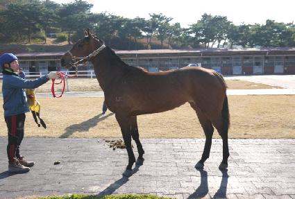 �ұ������� ����